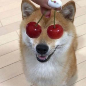 Meet your Posher, Adrien